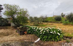 Nelas, Viseu 3520