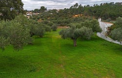 Pedrógão, Santarém District