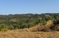 Palmela, Setubal