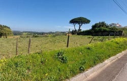 Leiria, Leiria District