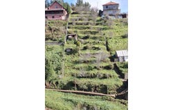 Camacha, Santa Cruz, Madeira