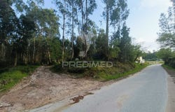 Gondemaria e Olival, Ourém, Santarém District 2490
