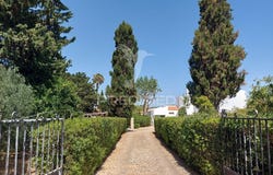 Luz, Lagos, Algarve 8600