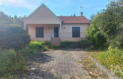 Leiria, Leiria District