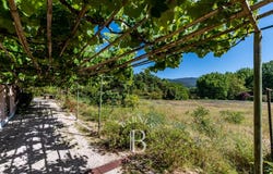Colares, Lisbon 2705