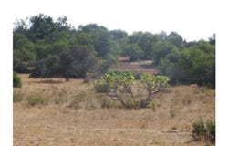 Faro, Algarve 8365-023