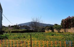 Viana do Castelo, Viana do Castelo District