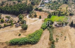 Castelo Branco, Castelo Branco 6000