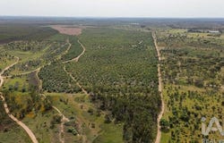 Bemposta, Santarém 2205