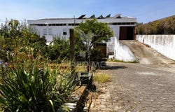 Riachos, Torres Novas, Santarém District 2350
