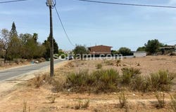 Olhao, Faro