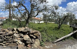 Beja, Beja District