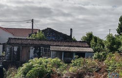 Piedade, Autonomous Region of the Azores 9930