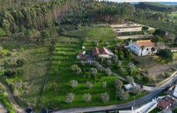 Martinchel, Santarém District