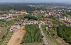 Anadia, Aveiro District