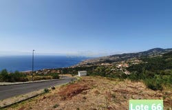 Ilha da Madeira, Madeira