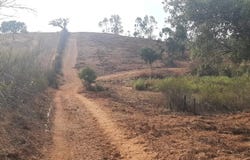 Ourique, Beja District
