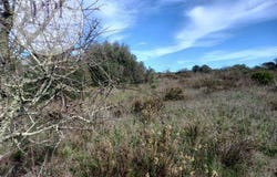 Vila do Bispo, Faro 8650-000