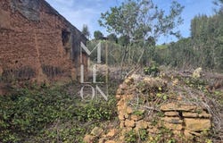 SÃO TEOTÓNIO, Beja District