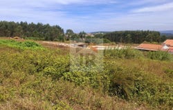 Caldas da Rainha, Leiria District