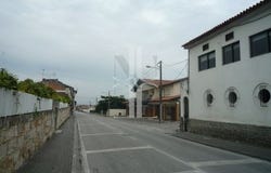 Anadia, Aveiro