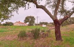 Santiago do Cacém, Setubal