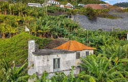 Madalena Do Mar, Madeira 9360