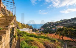 Ponta Do Sol, Madeira 9350