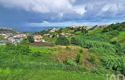 Ilha da Madeira, Madeira