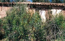 Faro, Algarve 8670-145
