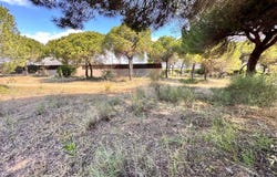 Almancil, Algarve 8135