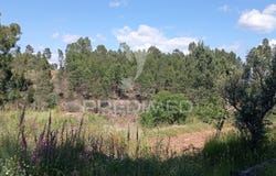 Mação, Penhascoso e Aboboreira, Mação, Santarém District 6120