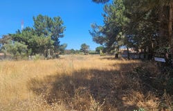 Palmela, Setubal