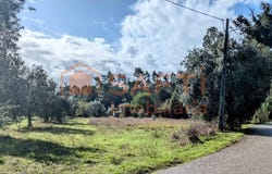Pombal, Leiria District