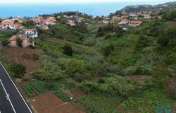 Ilha da Madeira, Madeira