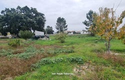 Azinheira Dos Barros E São Mamede Do Sádão, Setúbal 7570