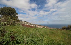 Caniço, Madeira 9125