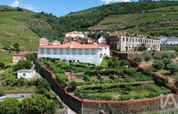 Vila Real, Vila Real District