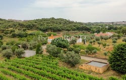 Borba (Matriz), Évora 7150