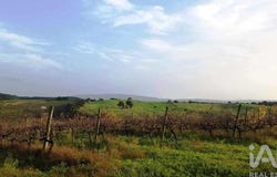 Leiria, Leiria District