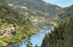 Cinfães, Viseu District