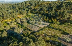 Valpacos, Vila Real