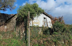 CIBÕES, Braga