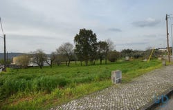 Leiria, Leiria District