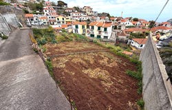 Rua Professor Virgílio Pereira, Funchal, Portugal, Ilha da Madeira, Madeira 9050-045