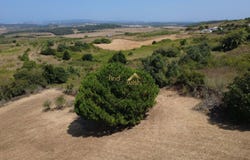 Santa Maria, Leiria District