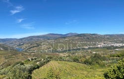 Cambres, Viseu District