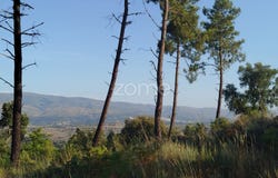 Mangualde, Viseu District