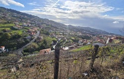 Câmara De Lobos, Madeira 9300