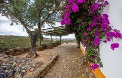 Mértola, Beja 7750